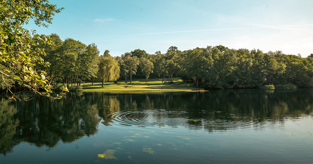 Silvermere Golf & Leisure