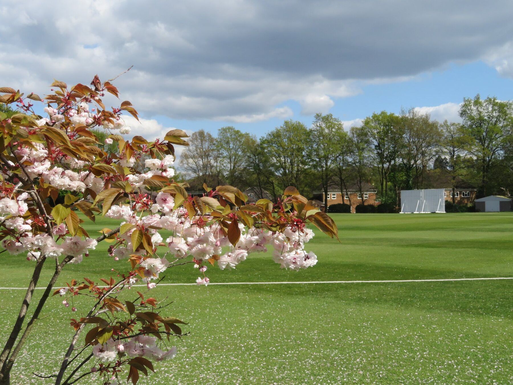 The Function Room at Camberley Cricket Club