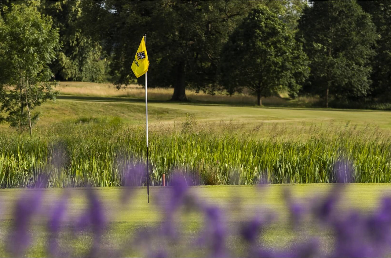 Clandon Regis Golf Club